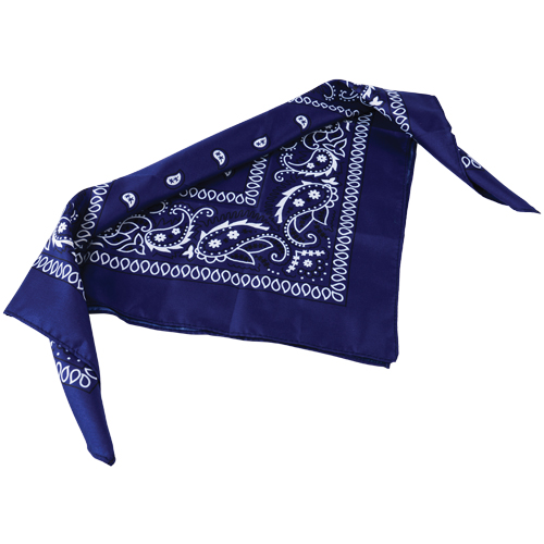 Blue Bandanas — Carnival Prizes — Carnival Depot